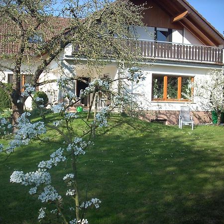 Ferienwohnung Lahntal/Taunus Huttenberg Exterior photo