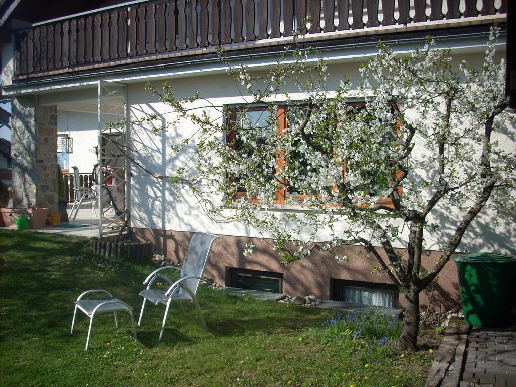 Ferienwohnung Lahntal/Taunus Huttenberg Exterior photo