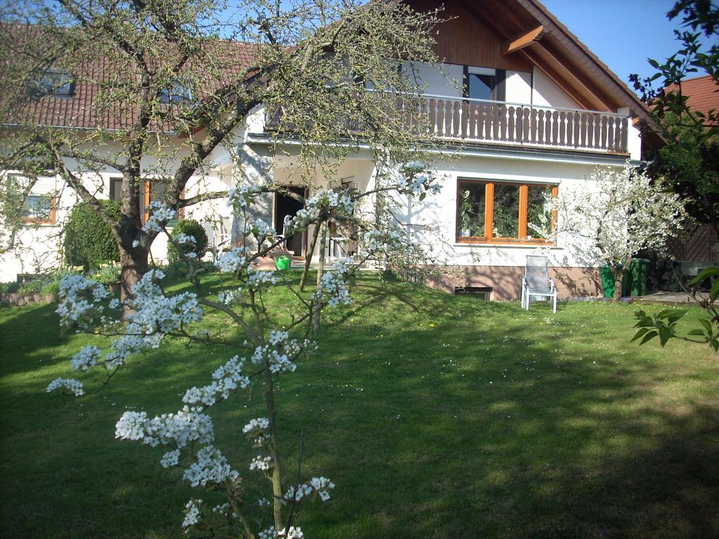 Ferienwohnung Lahntal/Taunus Huttenberg Exterior photo